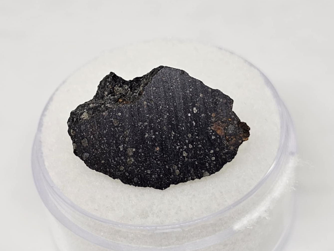 Murchison Carbonaceous Chondrite CM2 Meteorite End Cut 1.27
