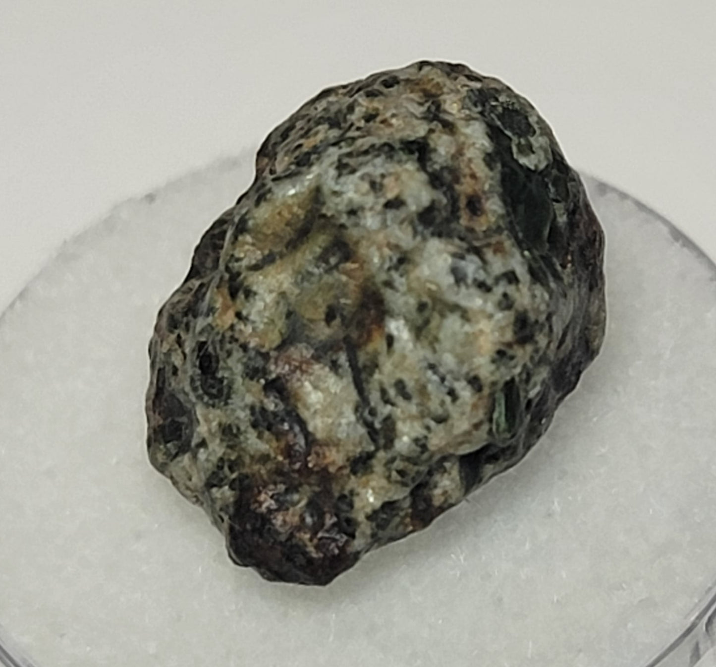 Erg Chech 002 Ungrouped Achondrite 3.75