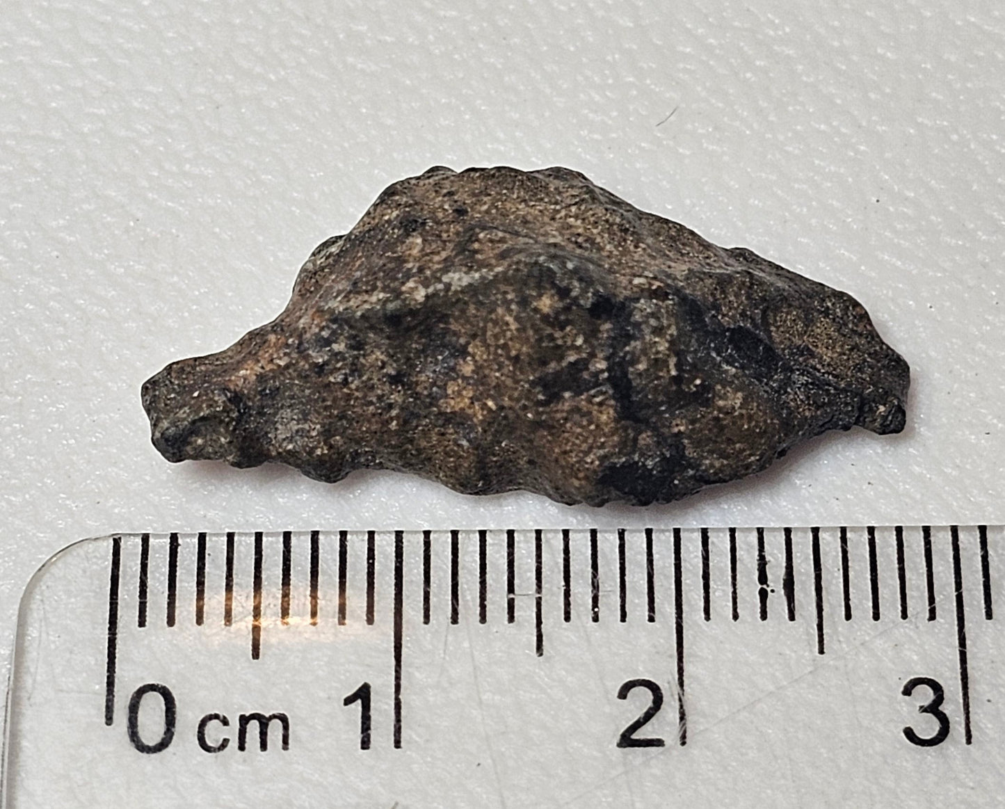 Amgala 001 - Martian Shergottite - 3.75 gram individual