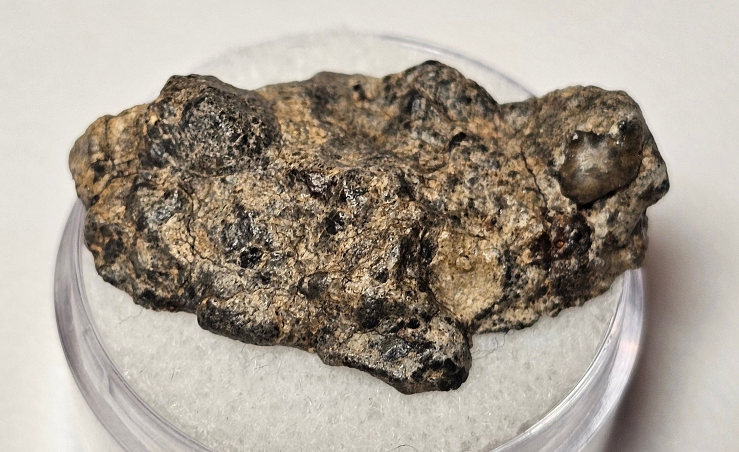 Bechar 003 Polished End Cut Lunar Felspathic Breccia Meteorite 3.66