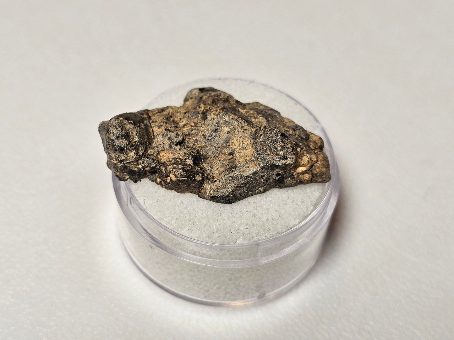 Bechar 003 Polished End Cut Lunar Felspathic Breccia Meteorite 3.66
