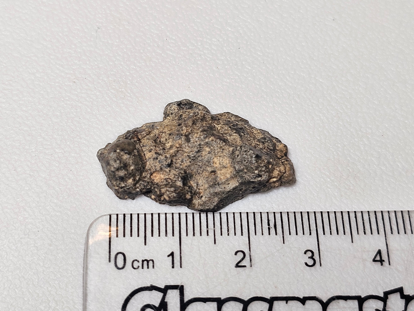 Bechar 003 Polished End Cut Lunar Felspathic Breccia Meteorite 3.66