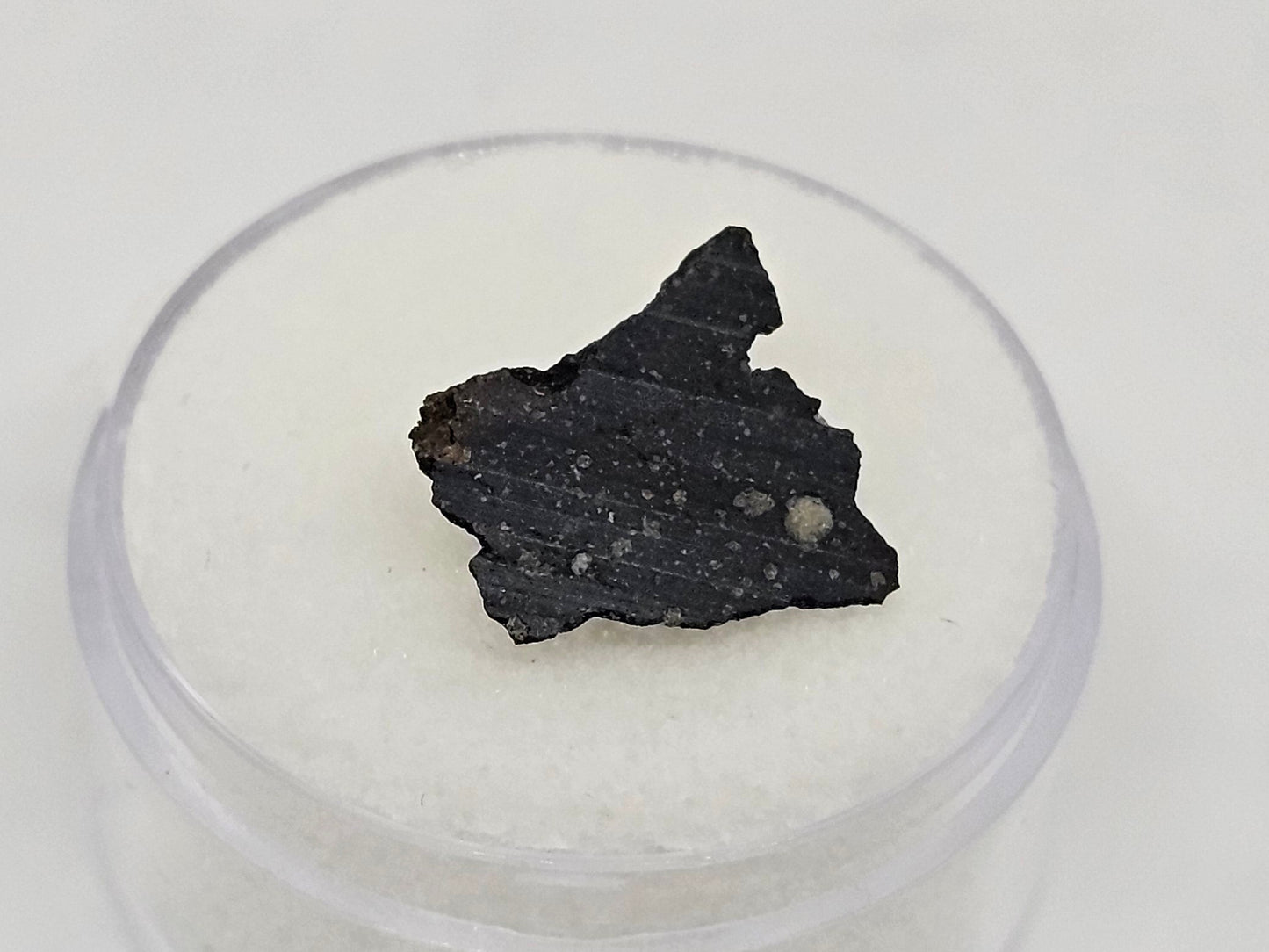 Murchison Carbonaceous Chondrite CM2 Meteorite End Cut .366g