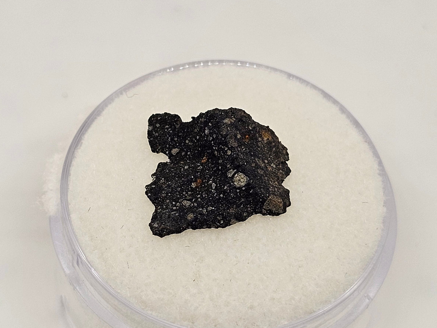 Murchison Carbonaceous Chondrite CM2 Meteorite End Cut .366g