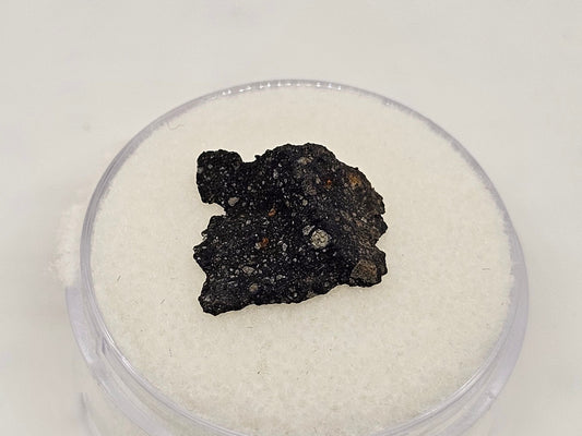 Murchison Carbonaceous Chondrite CM2 Meteorite End Cut .366g