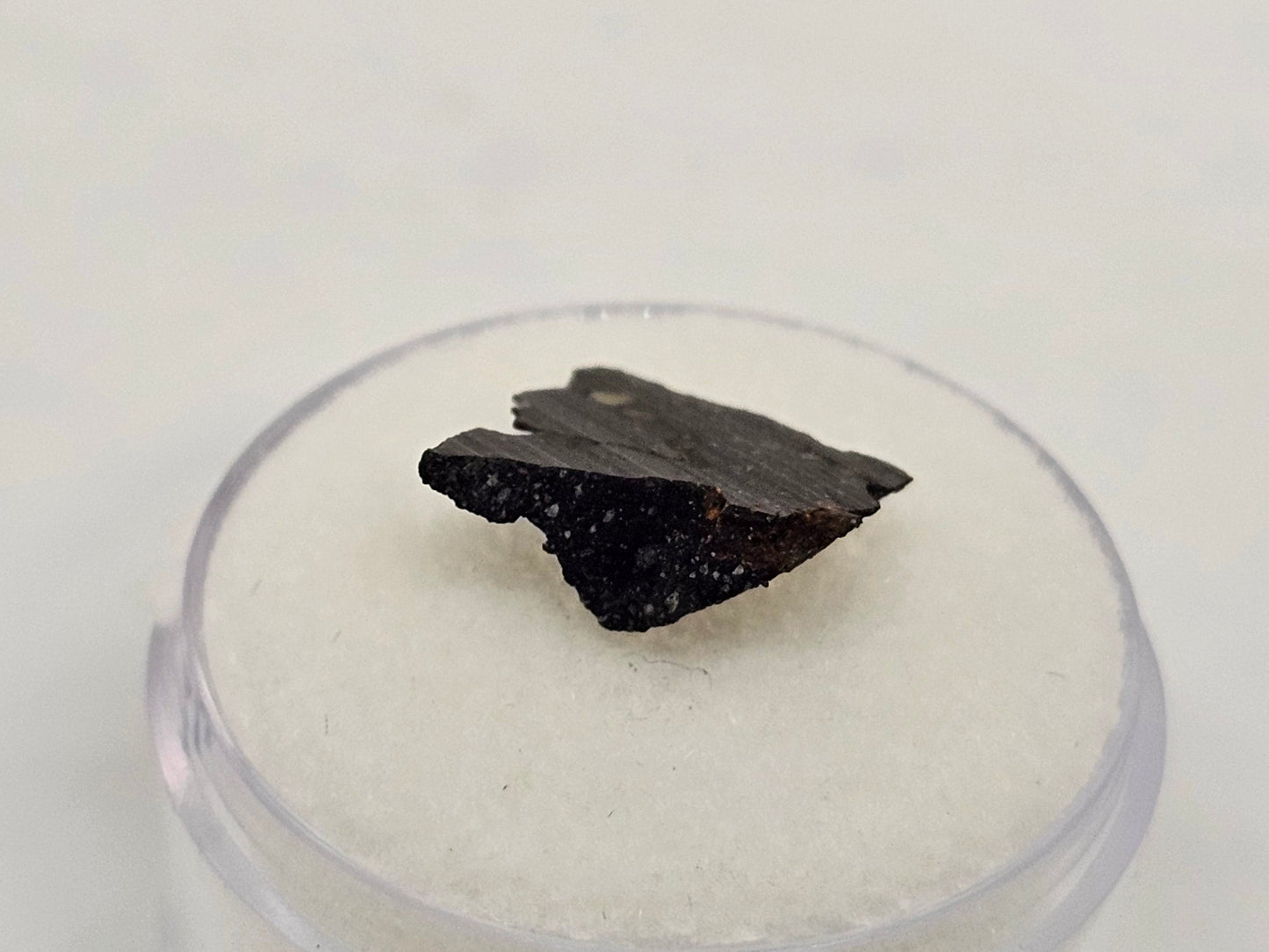 Murchison Carbonaceous Chondrite CM2 Meteorite End Cut .366g
