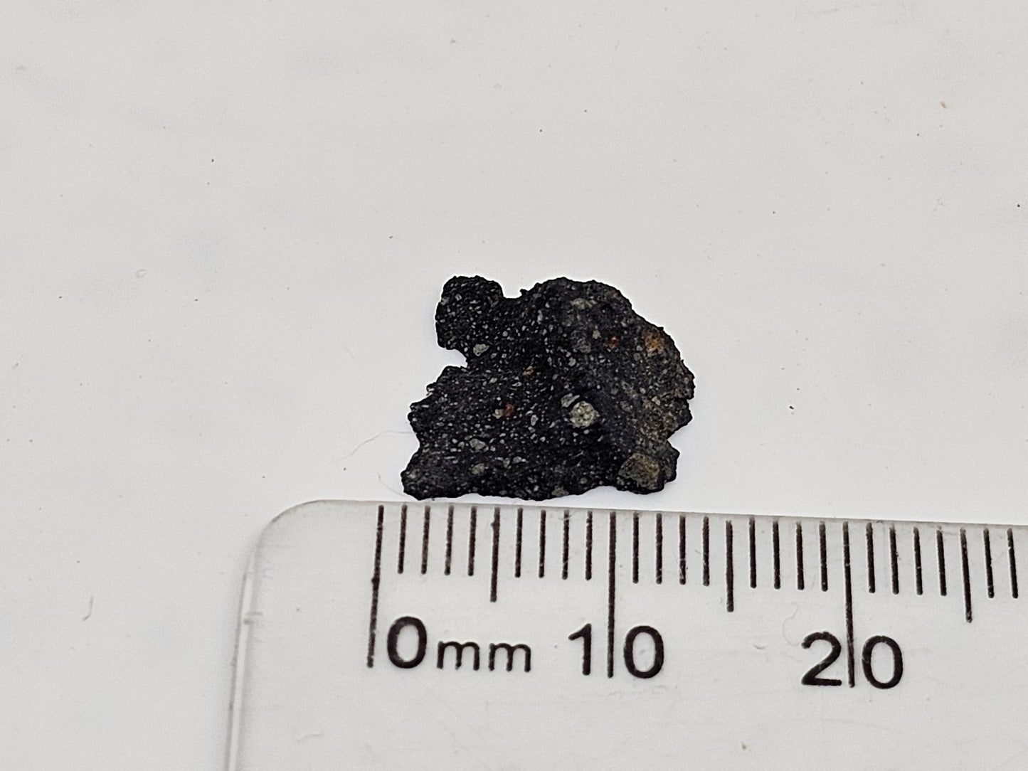 Murchison Carbonaceous Chondrite CM2 Meteorite End Cut .366g