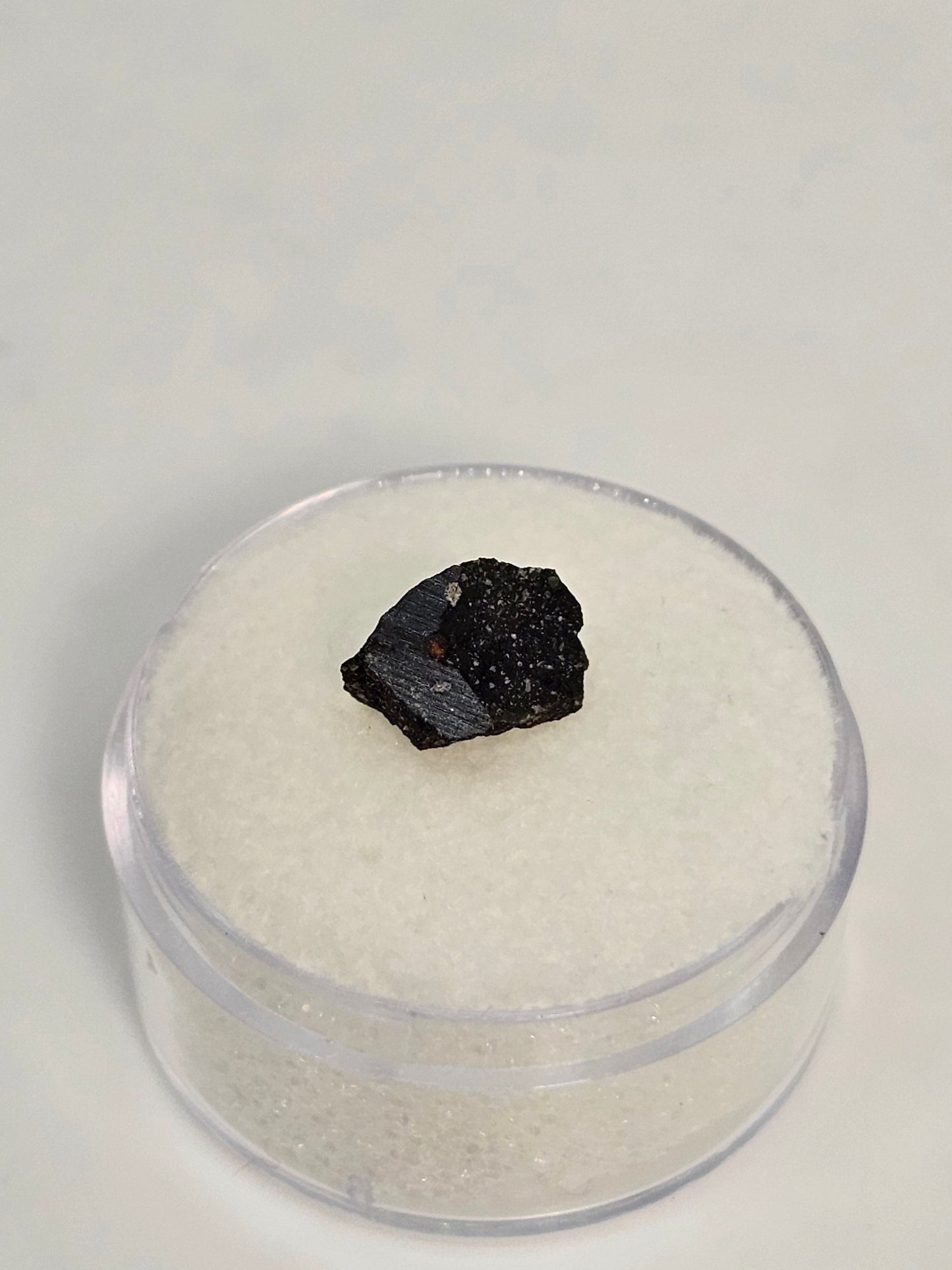Murchison Carbonaceous Chondrite CM2 Meteorite Cut Fragment .328