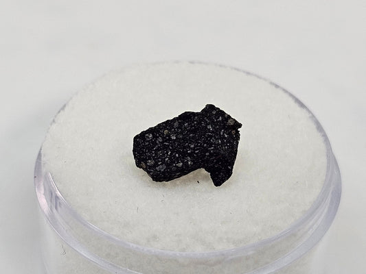 Murchison Carbonaceous Chondrite CM2 Meteorite Cut Fragment .328