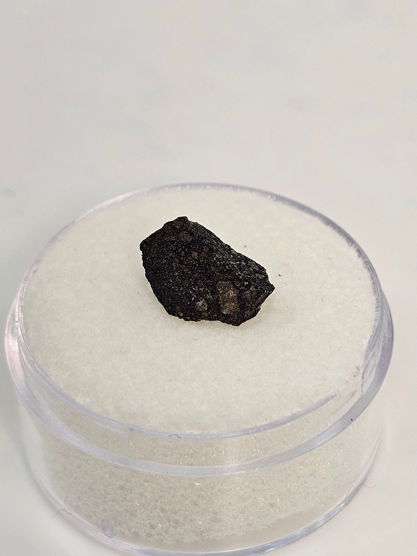 Murchison Carbonaceous Chondrite CM2 Meteorite Cut Fragment .328