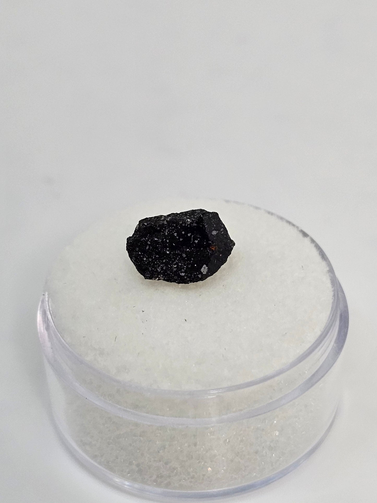 Murchison Carbonaceous Chondrite CM2 Meteorite Cut Fragment .328