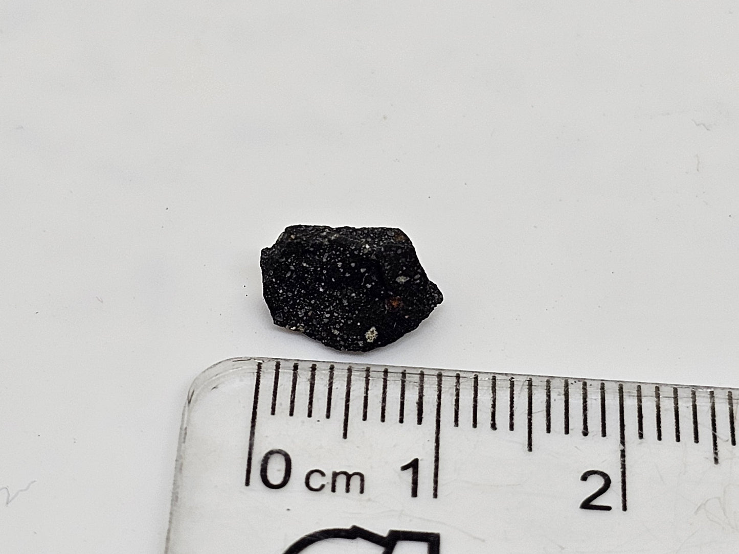 Murchison Carbonaceous Chondrite CM2 Meteorite Cut Fragment .328