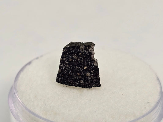 Murchison Carbonaceous Chondrite CM2 Meteorite Cut Fragment .352g