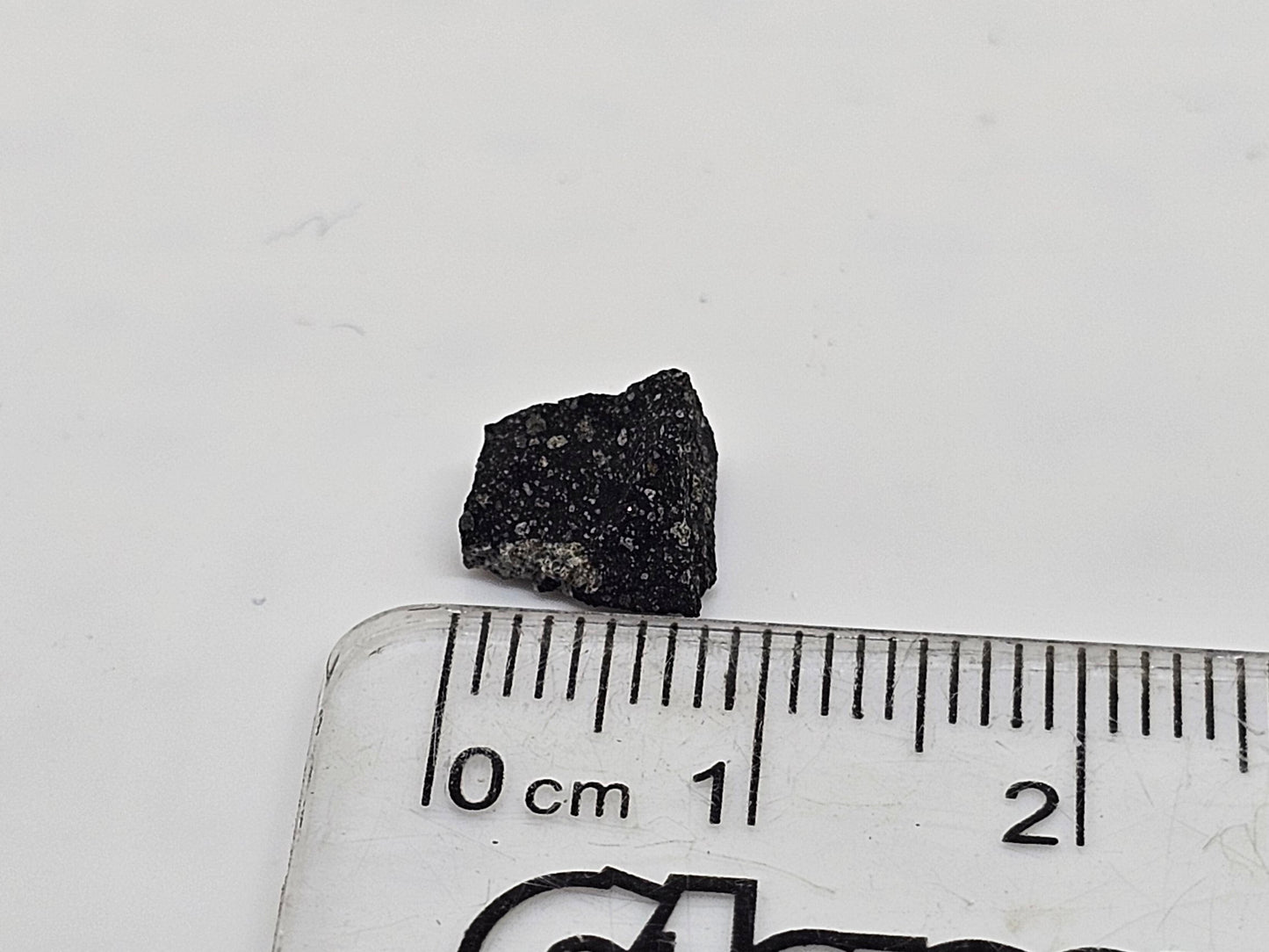 Murchison Carbonaceous Chondrite CM2 Meteorite Cut Fragment .352g