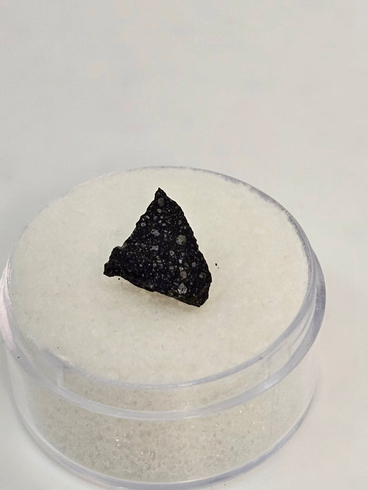 Murchison Carbonaceous Chondrite CM2 Meteorite Cut Fragment .372