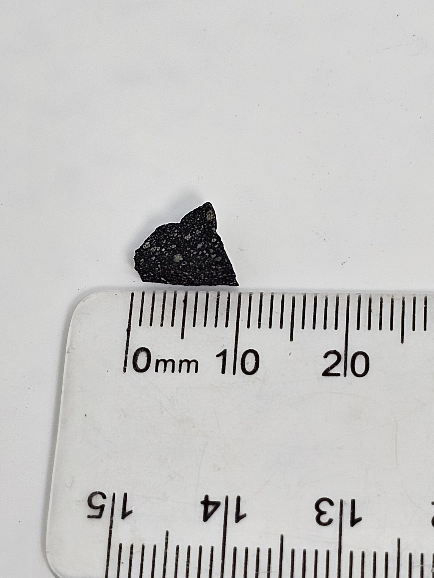 Murchison Carbonaceous Chondrite CM2 Meteorite Cut Fragment .372