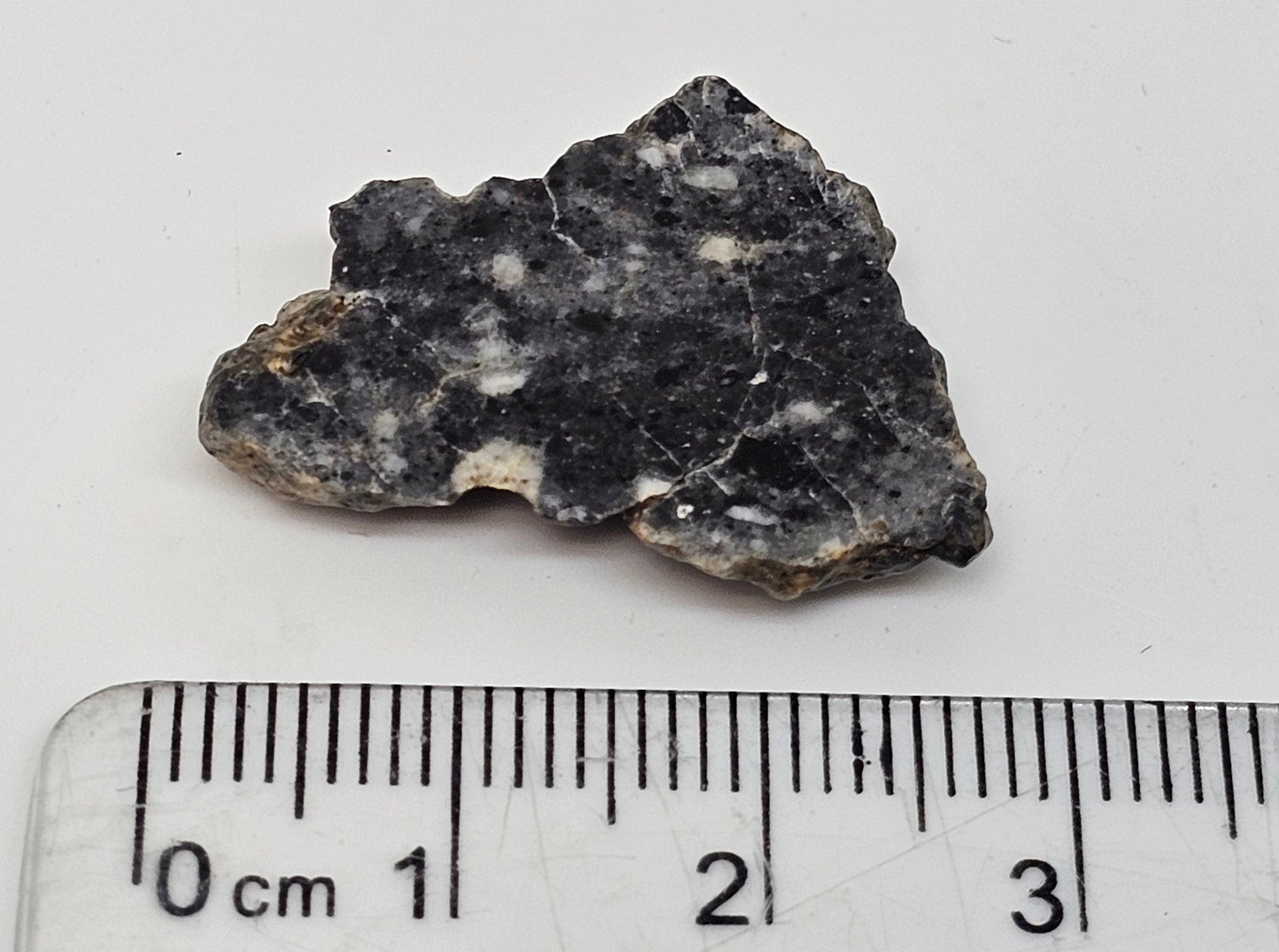 Bechar 003 Polished End Cut Lunar Felspathic Breccia Meteorite 3.2