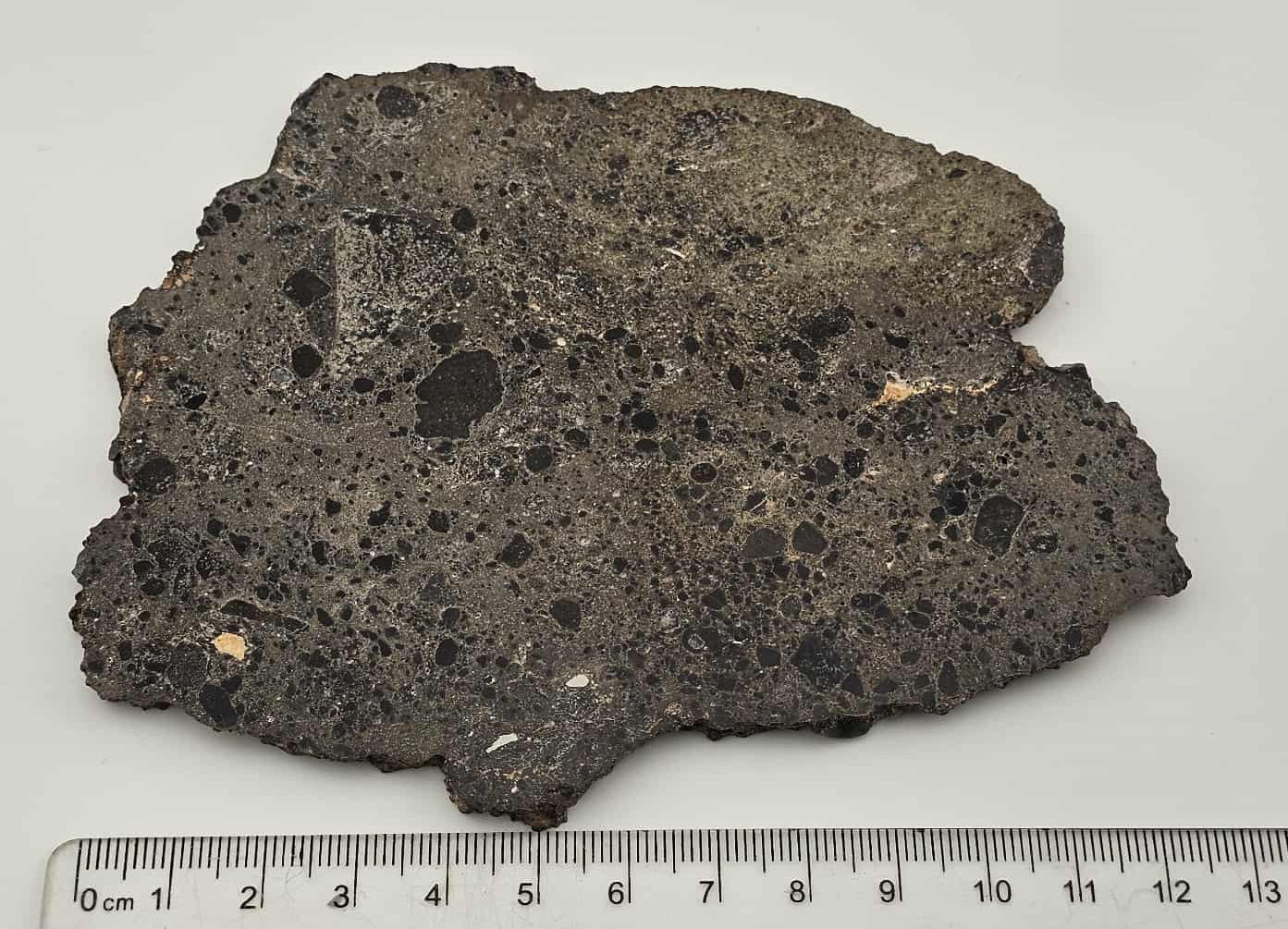 NEA 104 Slice of Lunar Troctolite Melt Breccia Meteorite 101.9g