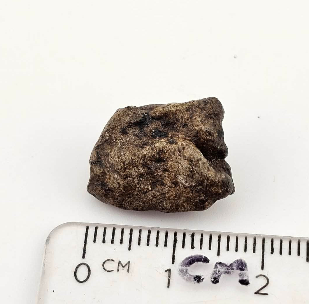 Amgala 001 - Martian Shergottite - 2.21 gram individual