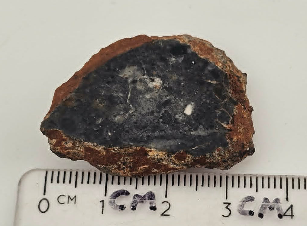 Bechar 003 Polished End Cut Lunar Felspathic Breccia Meteorite 10.6