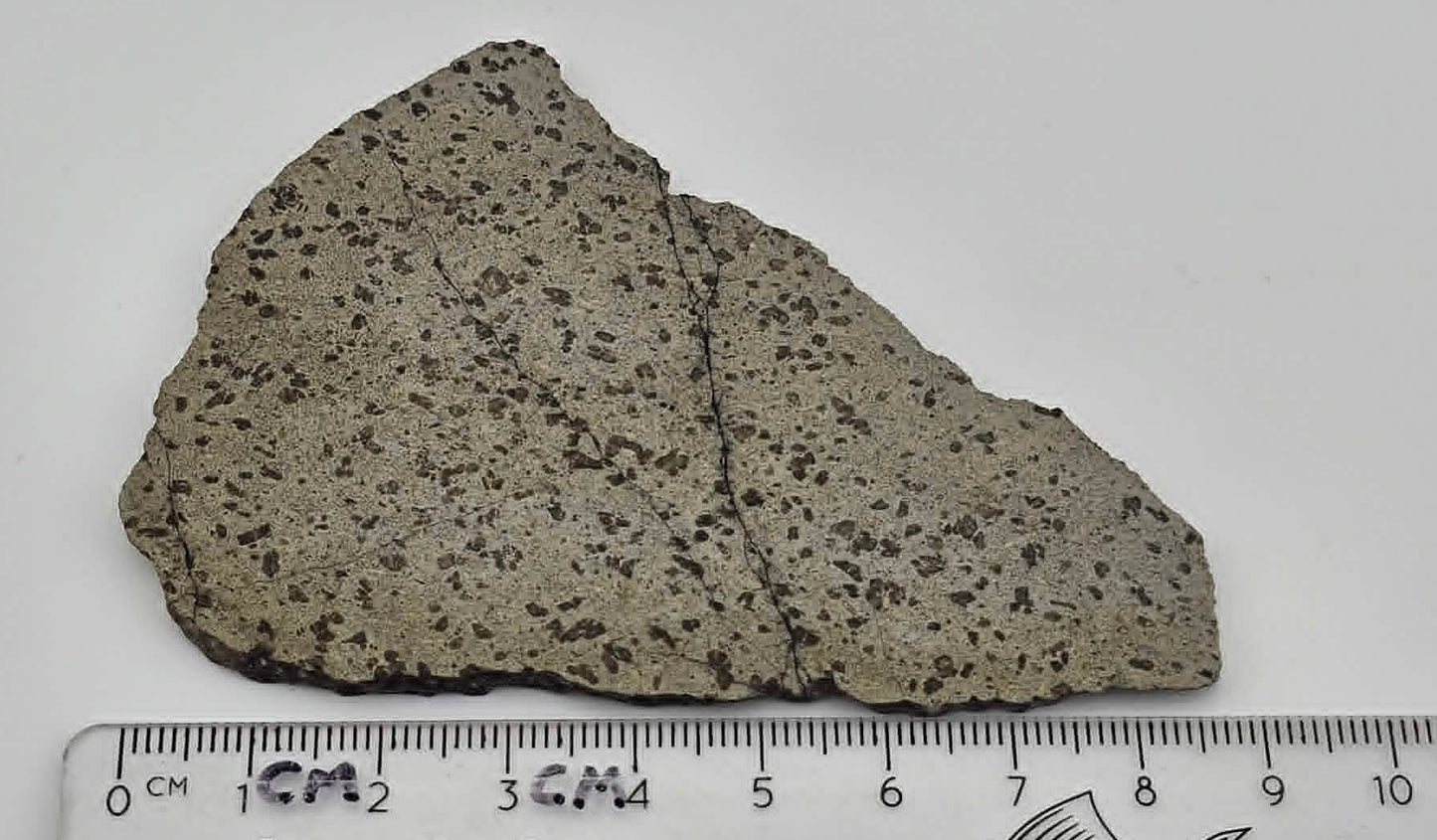 Tarkint 001 Martian Shergottite 29.4g Polished Complete Slice
