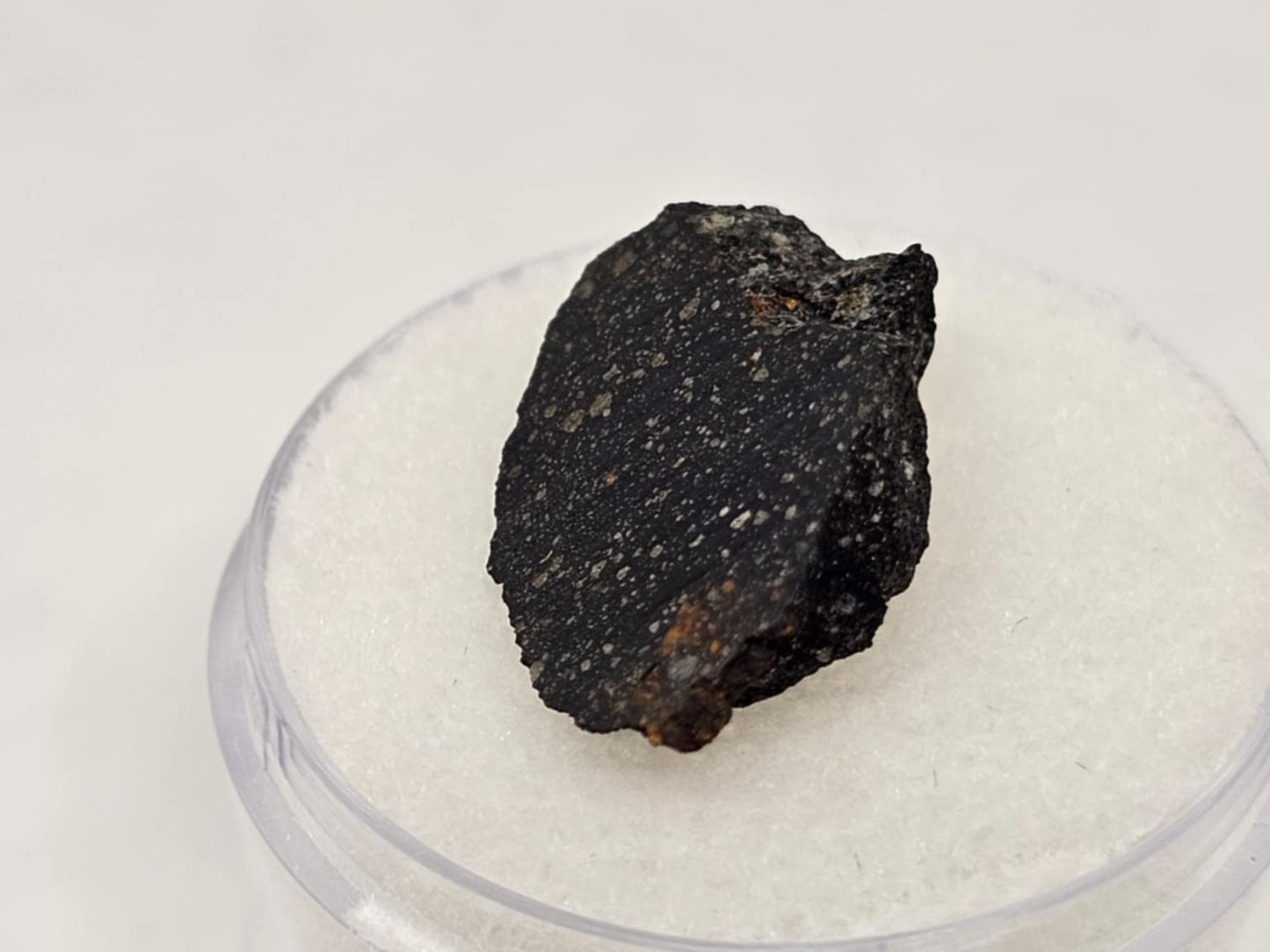 Murchison Carbonaceous Chondrite CM2 Meteorite End Cut 1.27