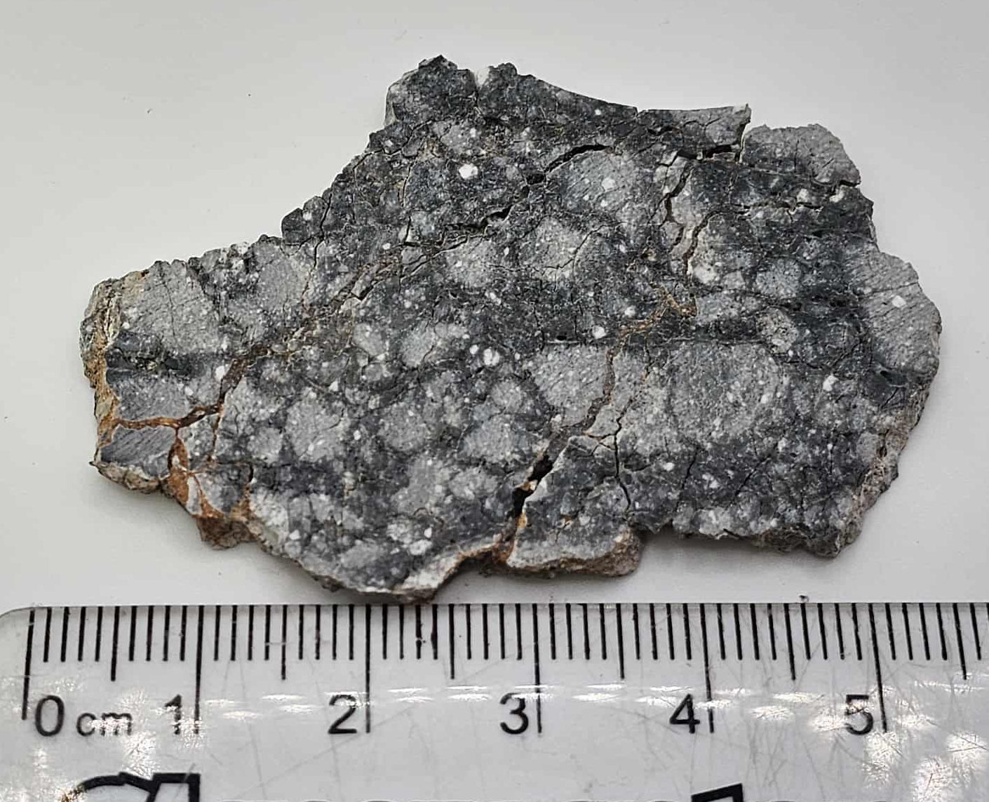 Gadamis 004 "Apollo" Lunar Ferroan Anorthosite Slice - 10.4g