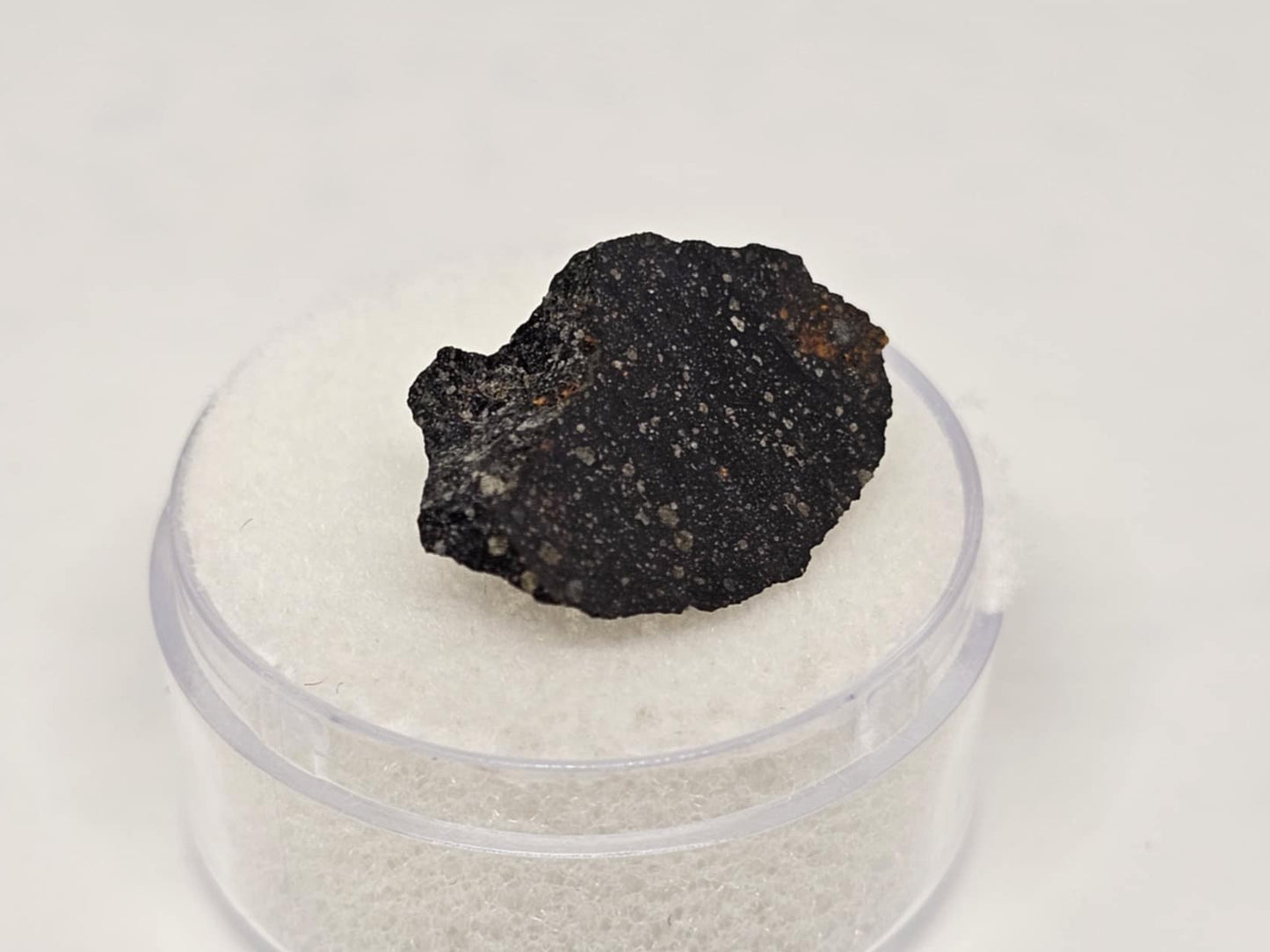 Murchison Carbonaceous Chondrite CM2 Meteorite End Cut 1.27