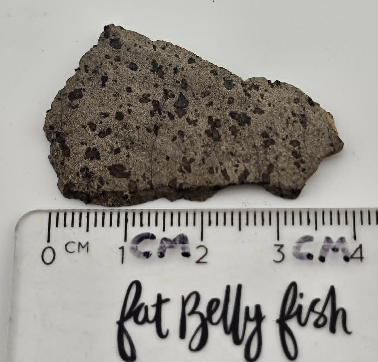 Tarkint 001 Martian Shergottite 4.8g Polished Complete Slice