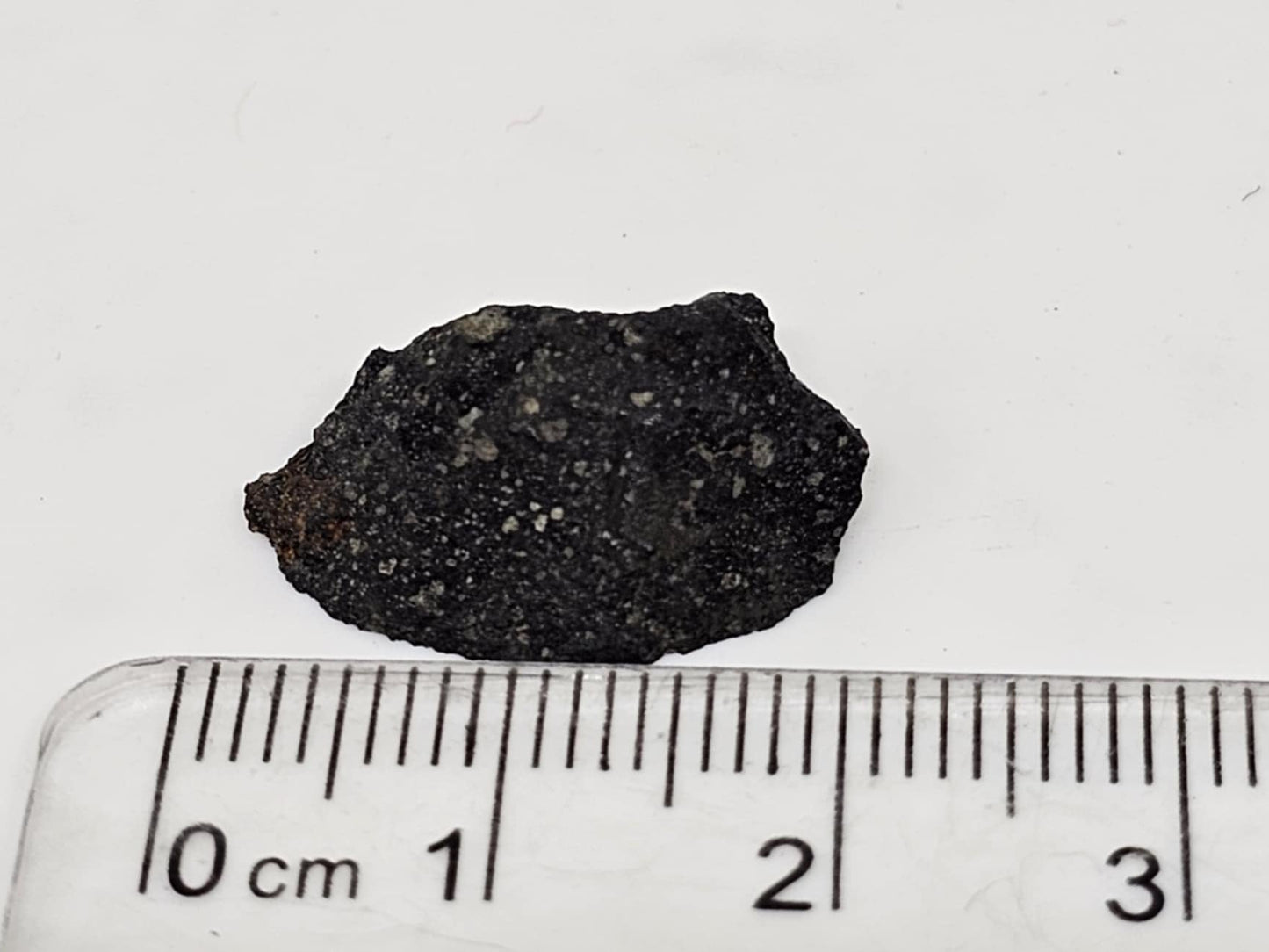 Murchison Carbonaceous Chondrite CM2 Meteorite End Cut 1.27