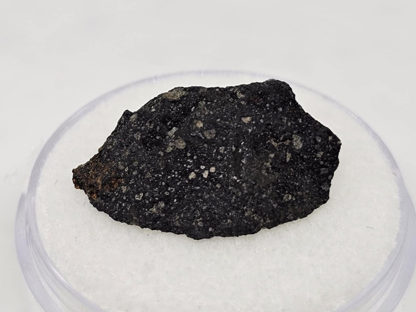 Murchison Carbonaceous Chondrite CM2 Meteorite End Cut 1.27