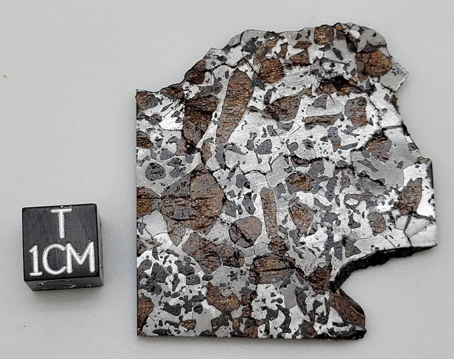 Hassi el Biod 002 Polished Slice 20 grams RARE Ungrouped Pallasite Meteorite