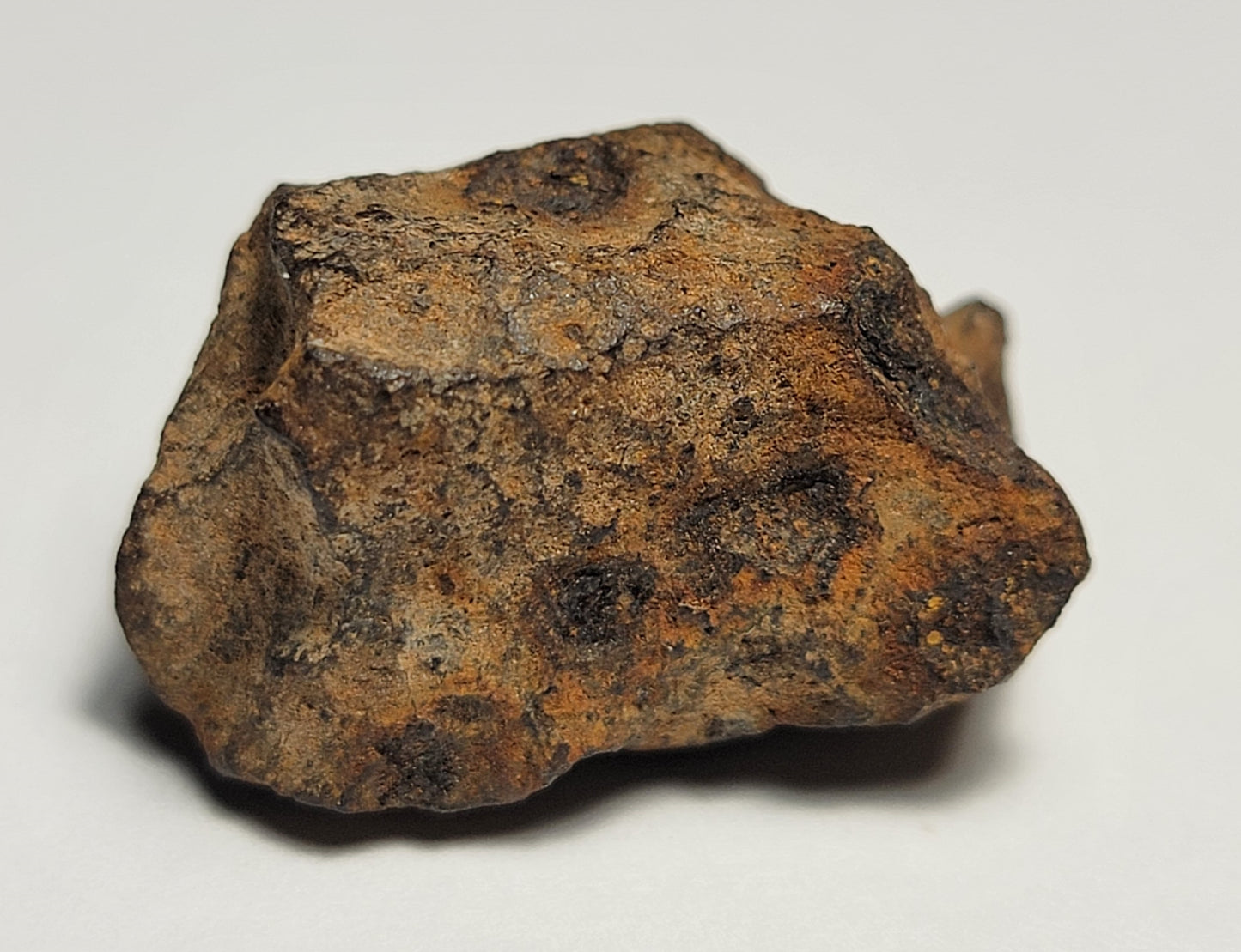 Agoudal Individual "As Found" Iron Meteorite 33.23g