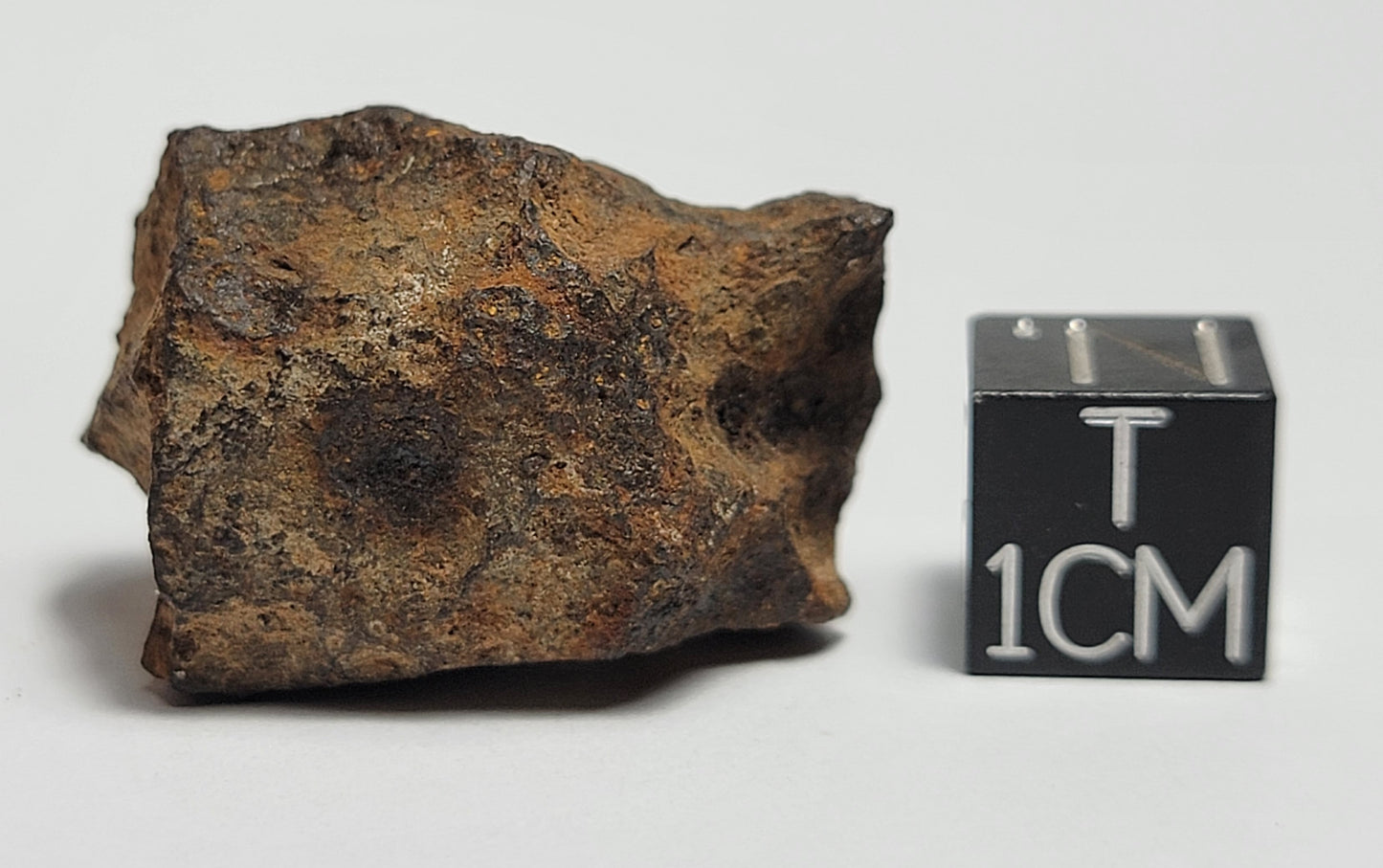Agoudal Individual "As Found" Iron Meteorite 33.23g