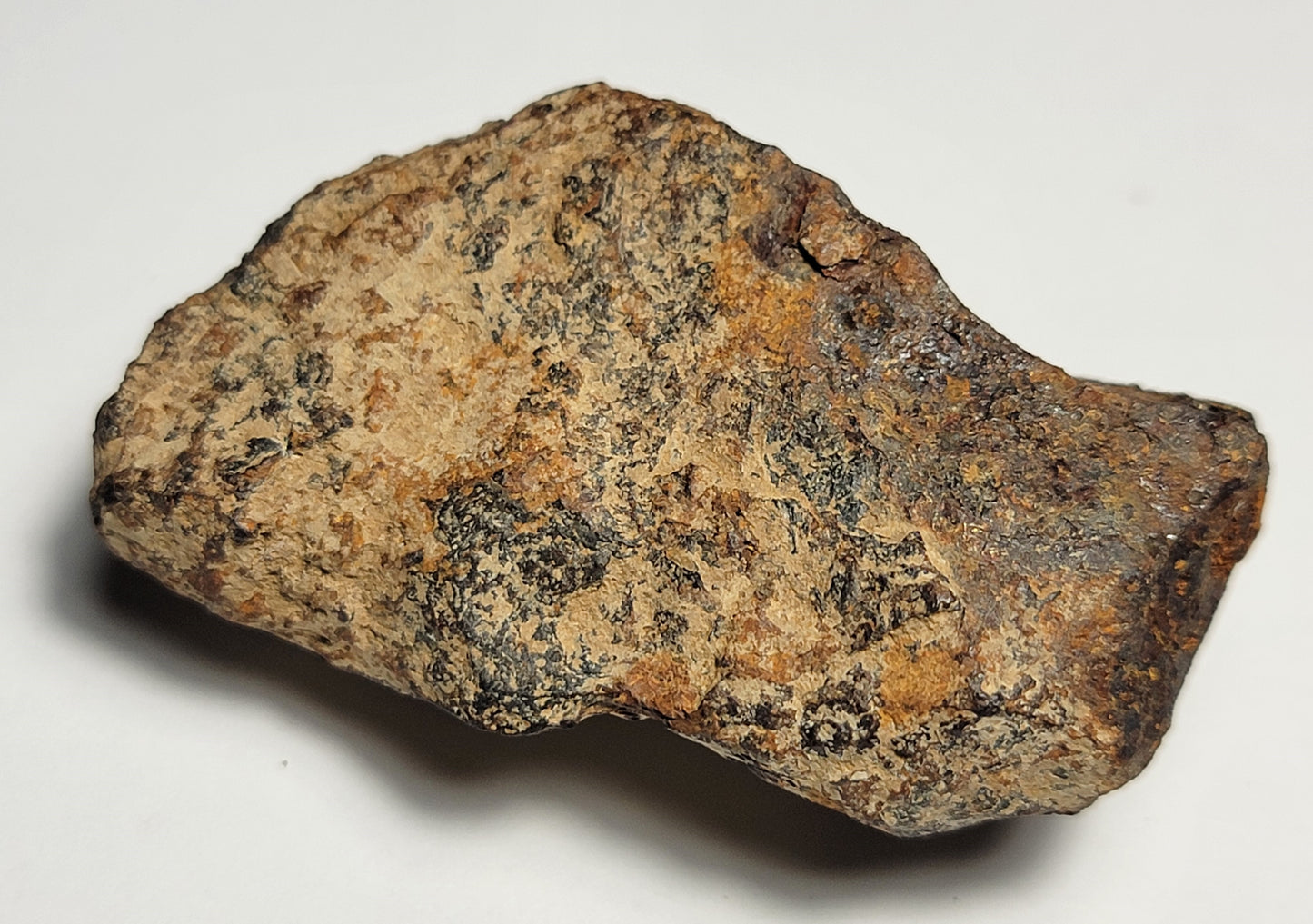 Agoudal Individual "As Found" Iron Meteorite 92.39g