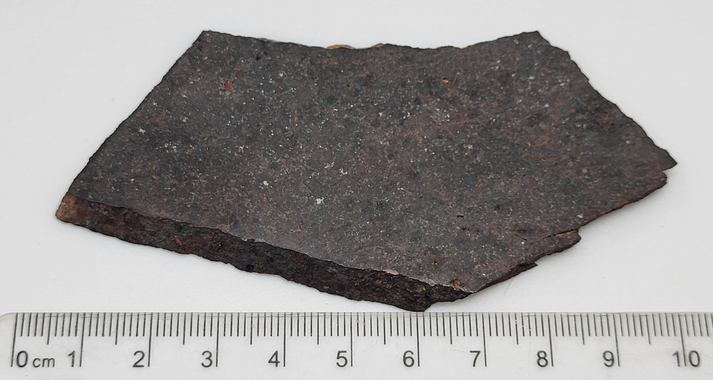 Long Island, Kansas Ordinary Chondrite Meteorite Slice - 38.3g