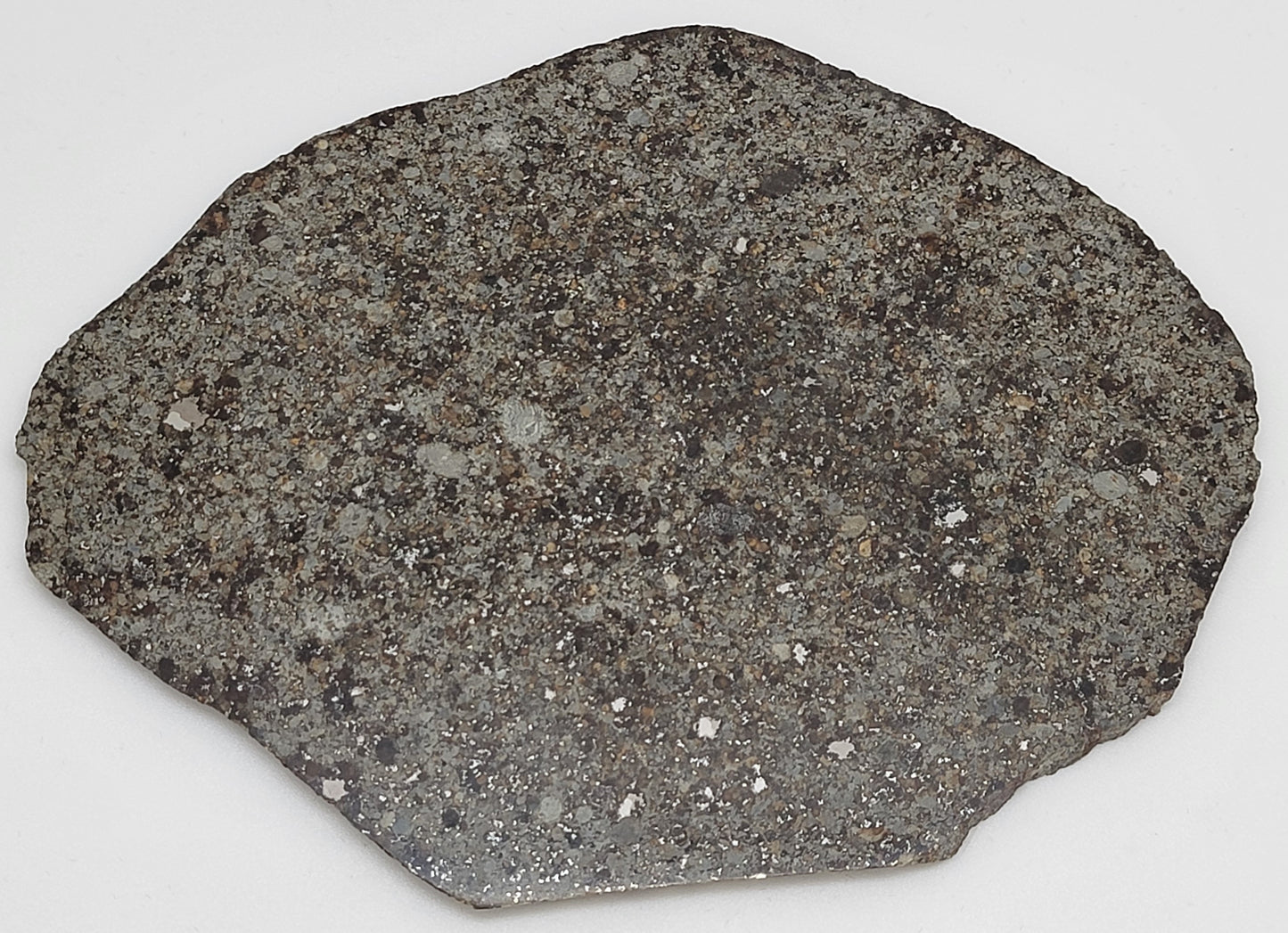 Unclassified NWA Ordinary Chondrite 117.5g Polished Meteorite Slice