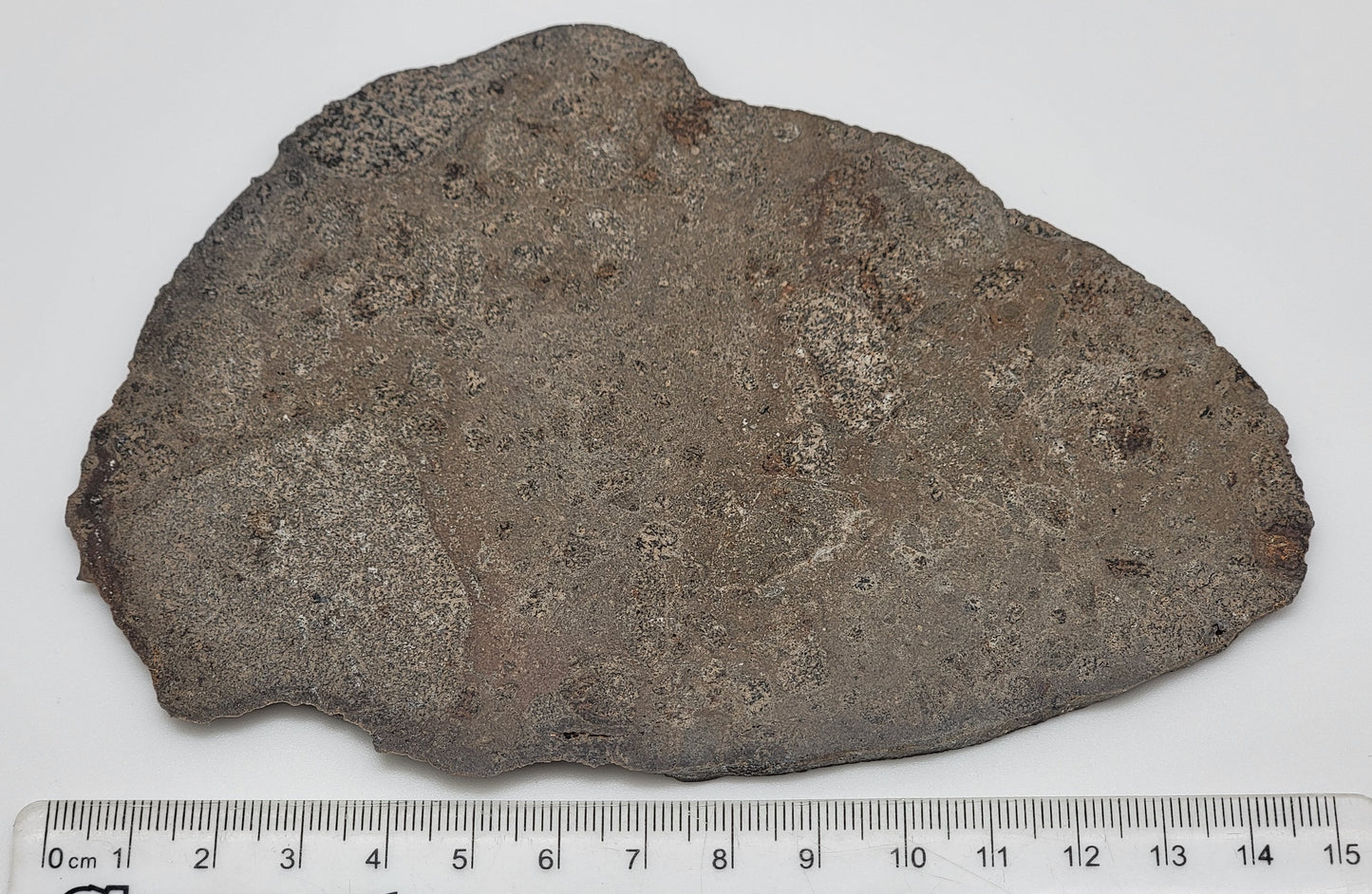 Jikharra 001 HED Achondrite Eucrite Melt Breccia Polished Slice - 98.6g
