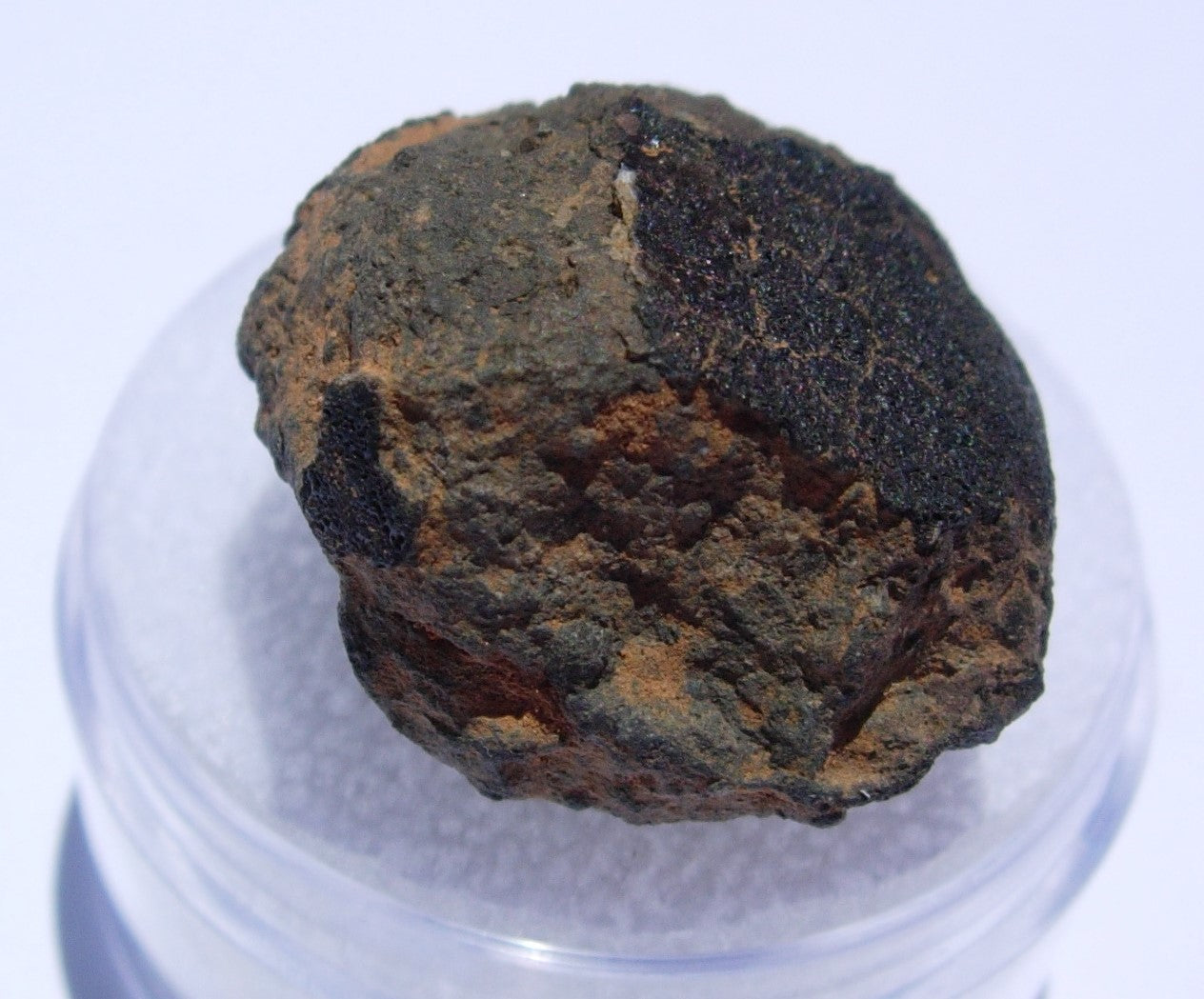 Allende Carbonaceous Chondrite CV3 7.06g