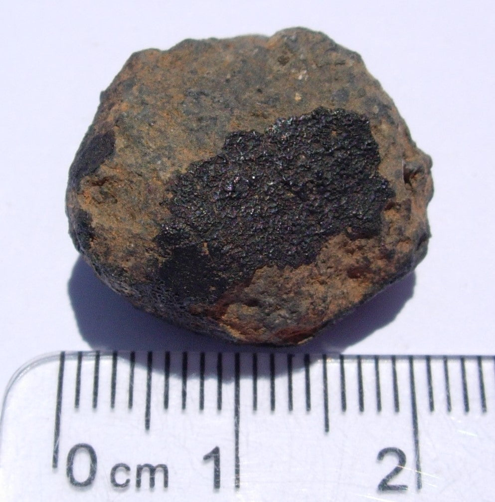 Allende Carbonaceous Chondrite CV3 7.06g