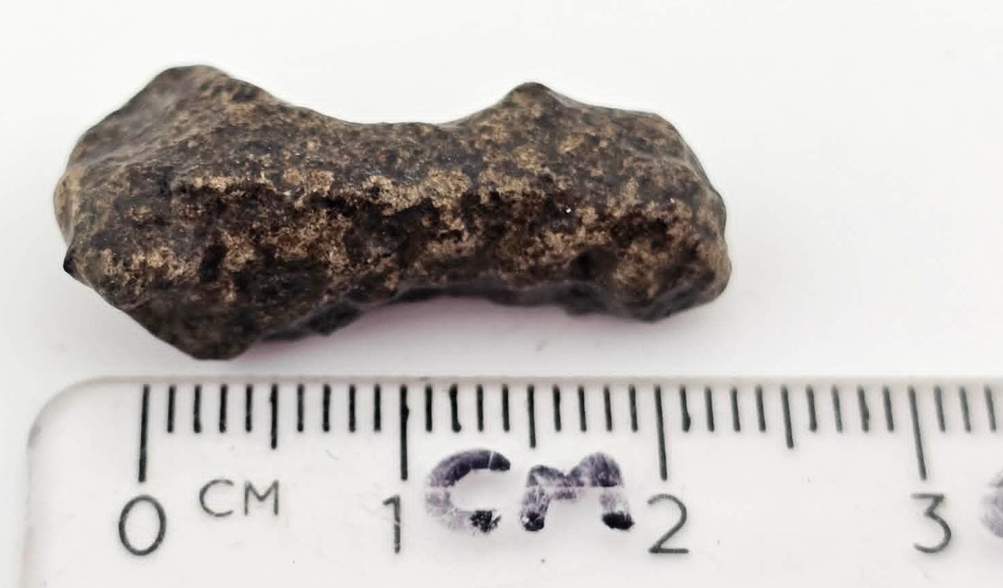 Amgala 001 - Martian Shergottite - 4.05 gram individual