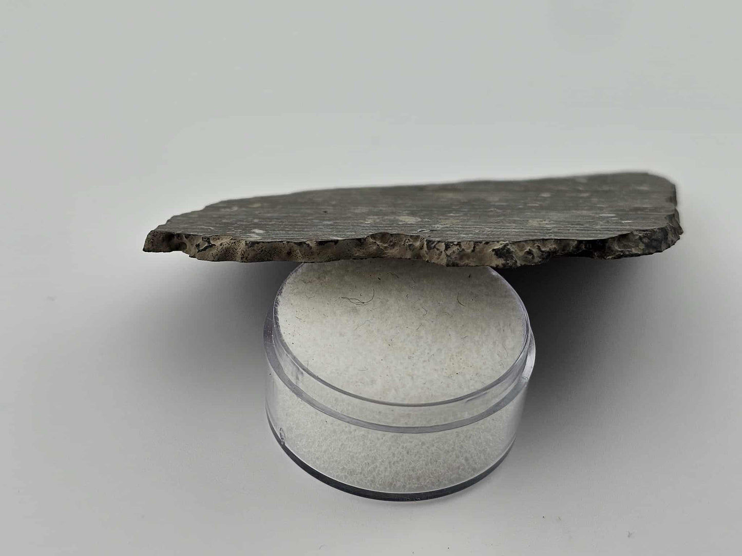 NWA 14743 Carbonaceous Chondrite Meteorite CVox3 Complete Slice - 15.92g