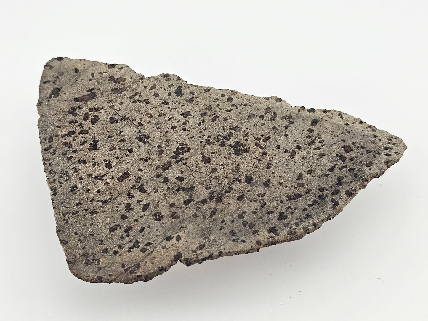 Tarkint 001 Martian Shergottite 17.6g Polished Complete Slice