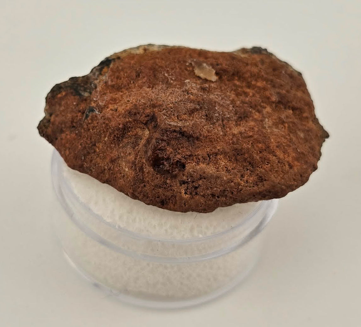 Bechar 003 Polished End Cut Lunar Felspathic Breccia Meteorite 10.6