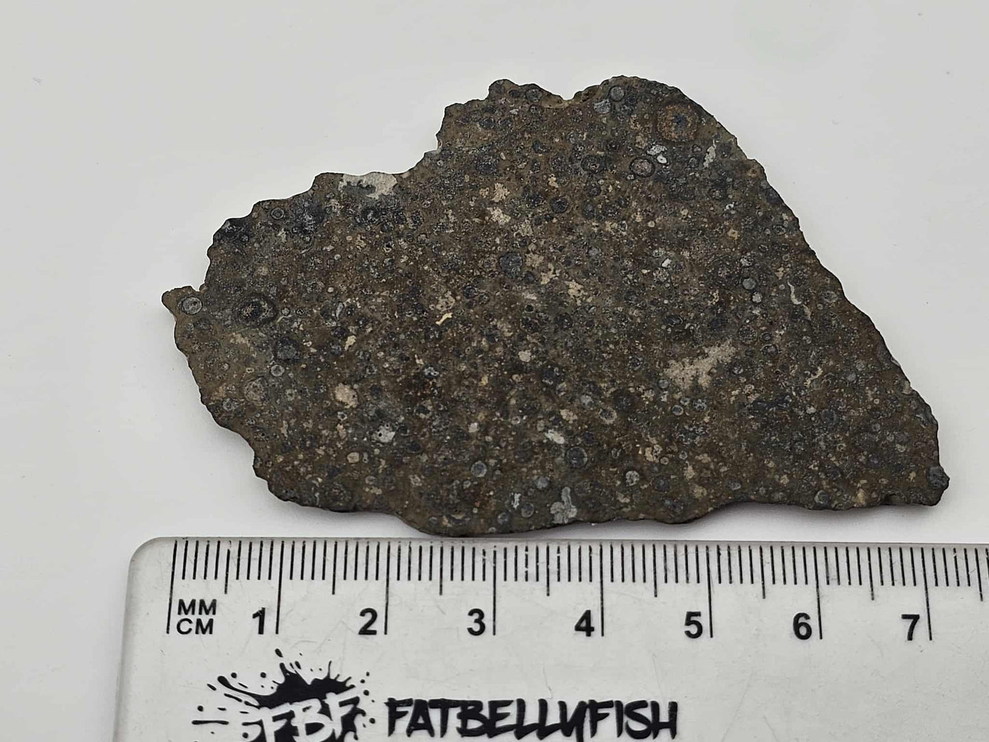 NWA 14743 Carbonaceous Chondrite Meteorite CVox3 Complete Slice - 15.92g