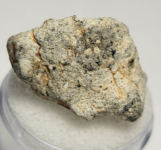 Bechar 003 Individual Lunar Felspathic Breccia Meteorite 6.97g