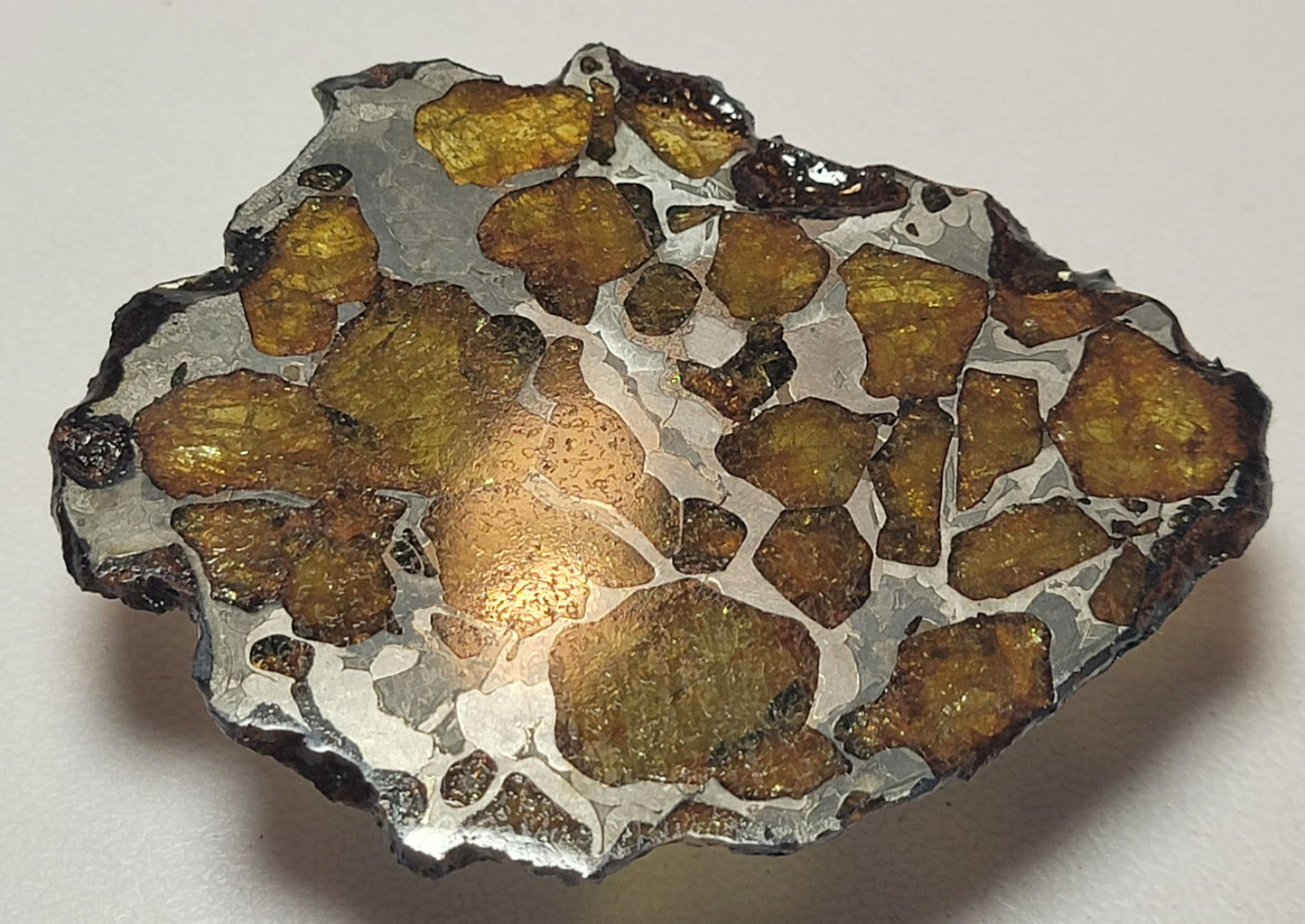 Imilac Pallasite Complete Meteorite Etched Slice - 18.6 grams