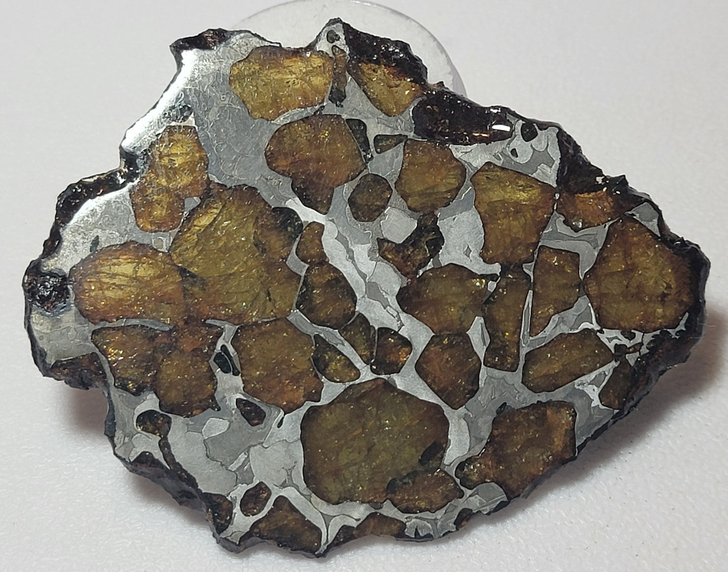 Imilac Pallasite Complete Meteorite Etched Slice - 18.6 grams