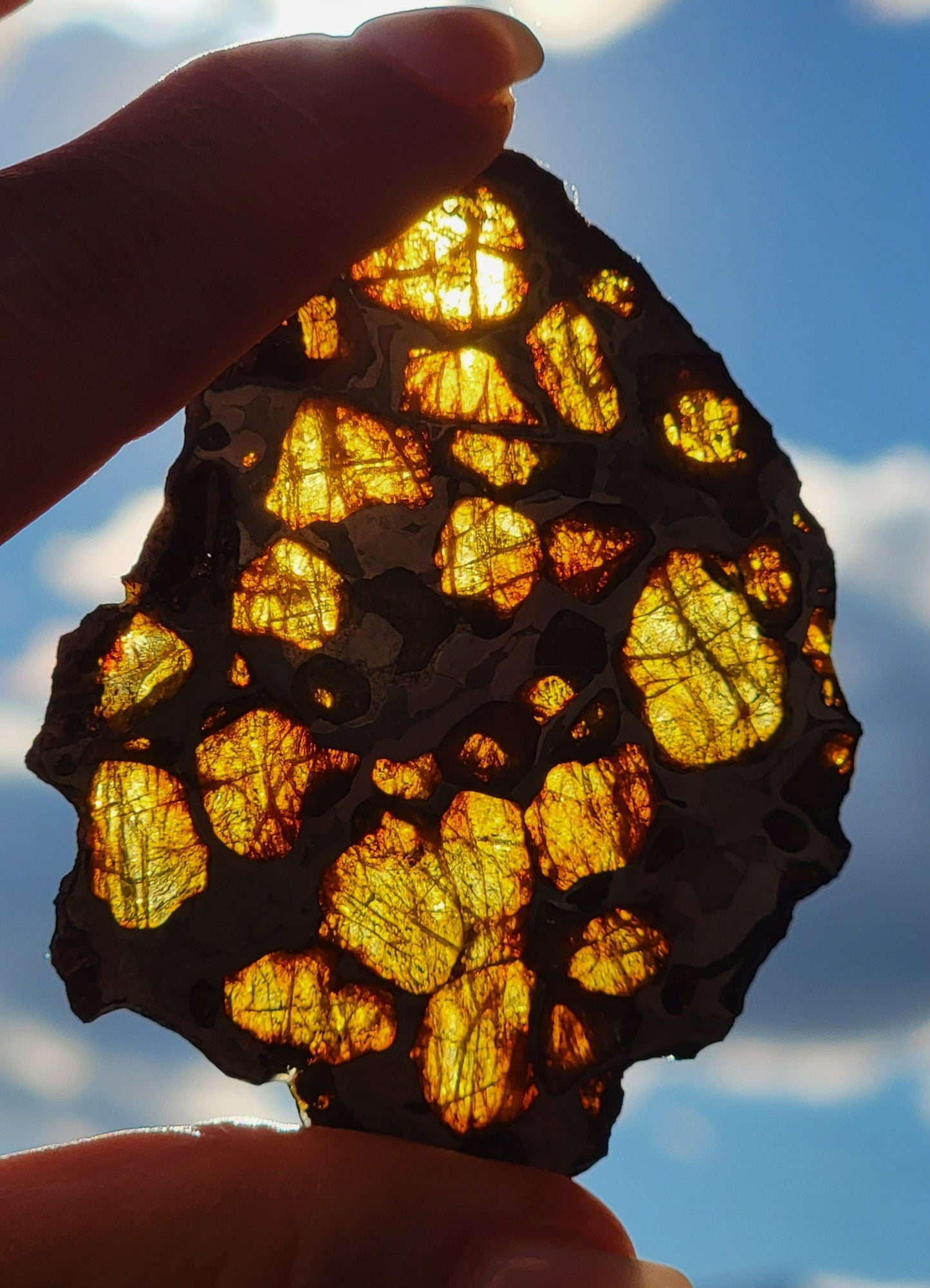 Imilac Pallasite Complete Meteorite Etched Slice - 18.6 grams