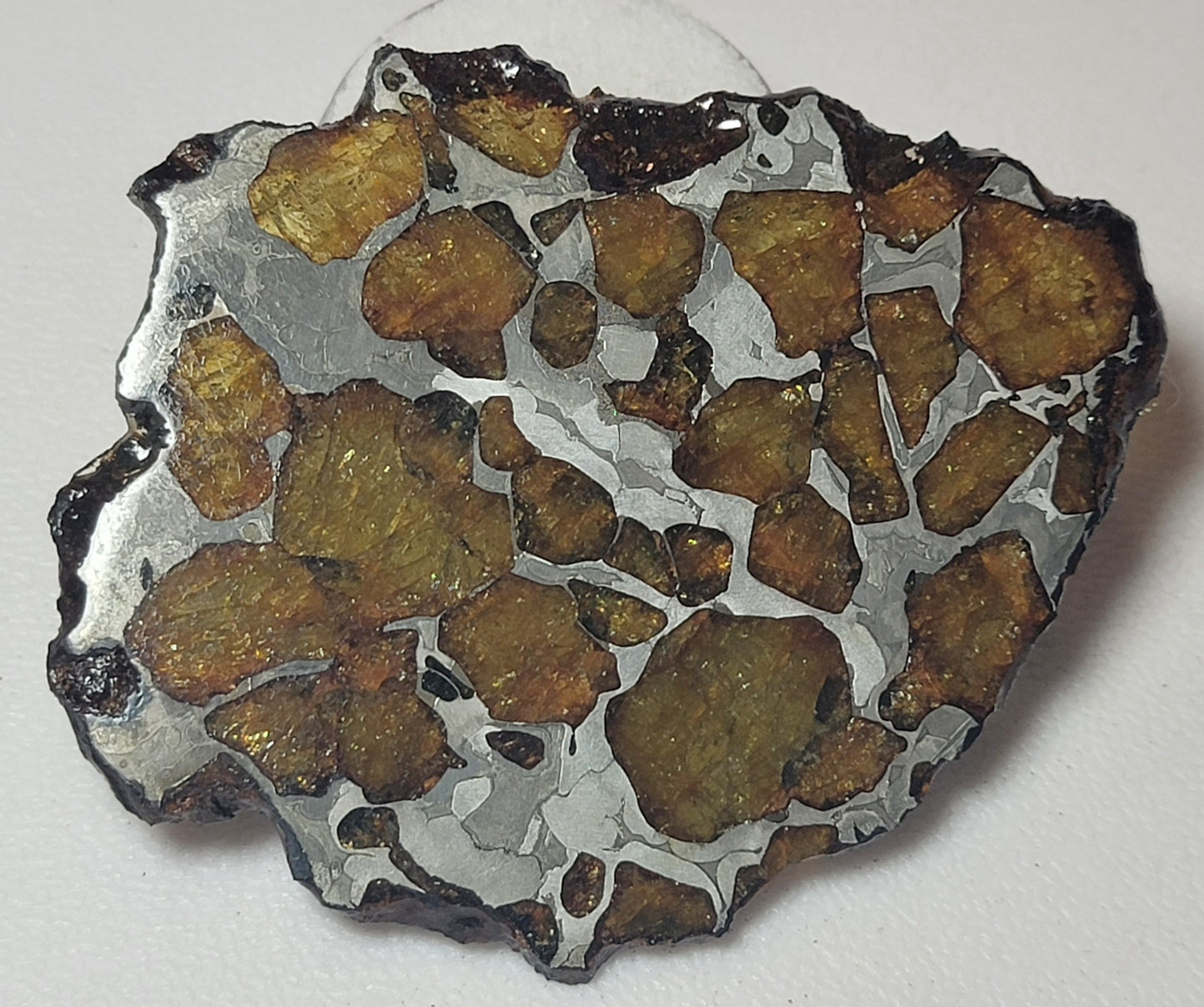 Imilac Pallasite Complete Meteorite Etched Slice - 18.6 grams